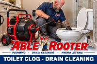 Toilet Clog - Drain Cleaning